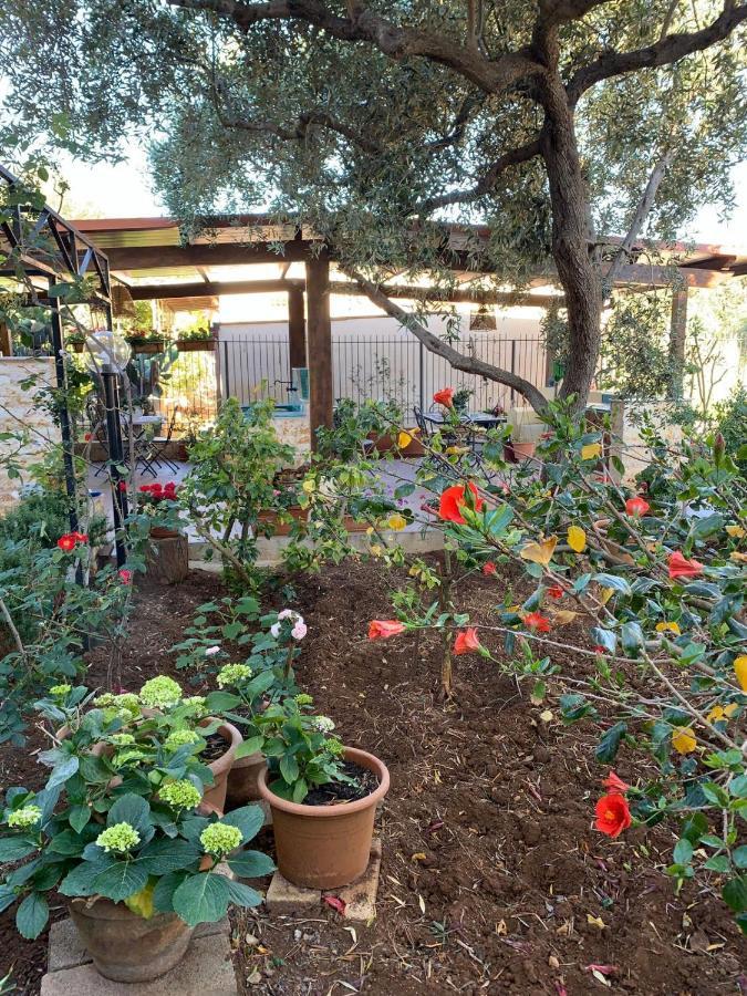 Green Garden 2017 Mondello Εξωτερικό φωτογραφία