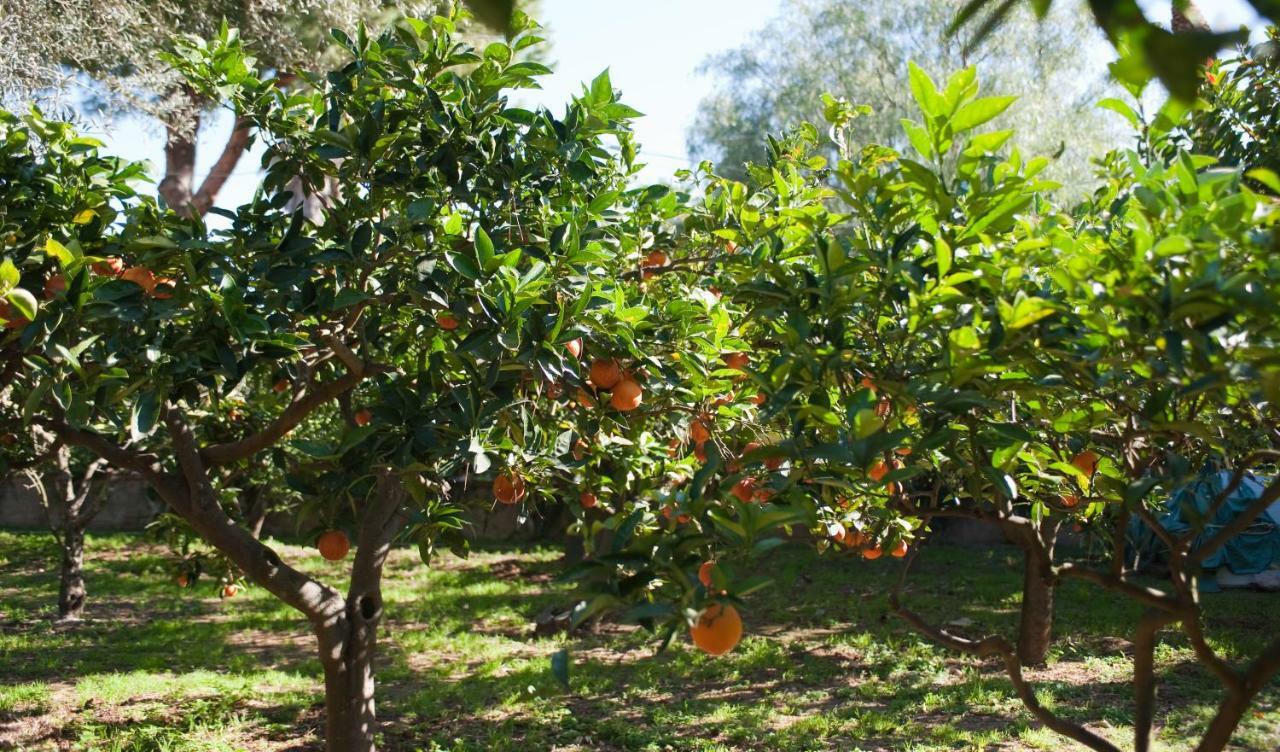 Green Garden 2017 Mondello Εξωτερικό φωτογραφία